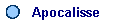 Apocalisse
